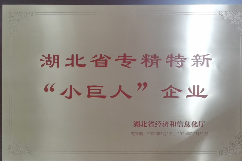 2022年公司獲得 湖北省專精特新“小巨人”企業(yè) 稱號